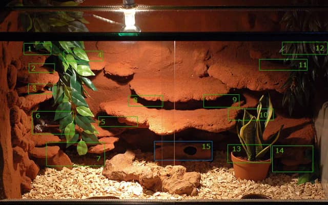 Jak zrobić terrarium dla gekona lamparciego, aby uniknąć błędów i zapewnić zdrowie Jak zrobić terrarium dla gekona lamparciego, aby uniknąć błędów i zapewnić zdrowie