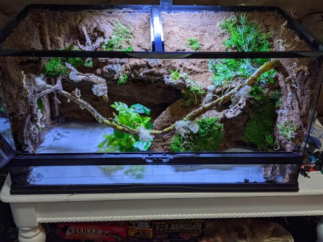 Najlepszy silikon do terrarium - bezpieczne opcje dla zwierząt i roślin Najlepszy silikon do terrarium - bezpieczne opcje dla zwierząt i roślin