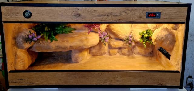 Ile kosztuje terrarium dla żółwia? Ceny, które zaskoczą każdego Ile kosztuje terrarium dla żółwia? Ceny, które zaskoczą każdego