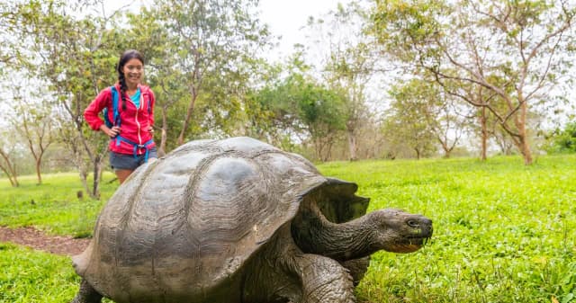 Ile żyją żółwie z Galapagos? Zaskakujące fakty o ich długości życia Ile żyją żółwie z Galapagos? Zaskakujące fakty o ich długości życia
