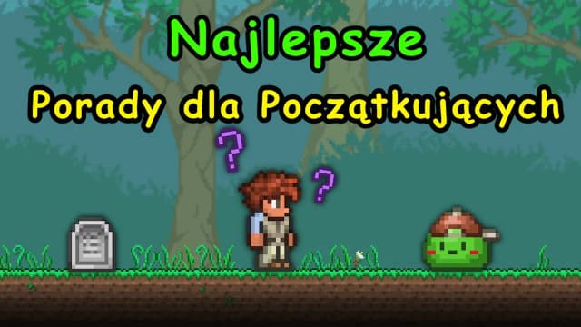 Terraria jak grać: uniknij najczęstszych błędów początkujących Terraria jak grać: uniknij najczęstszych błędów początkujących