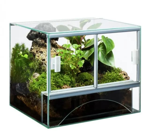 Jak zrobić terrarium dla żaby - kluczowe wskazówki i błędy do uniknięcia Jak zrobić terrarium dla żaby - kluczowe wskazówki i błędy do uniknięcia