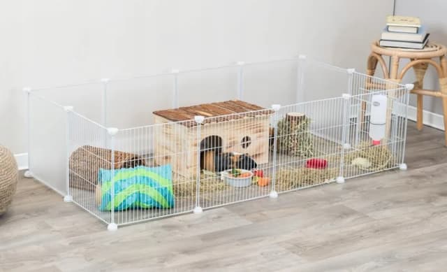 Jeż pigmejski: terrarium czy klatka – co wybrać dla zdrowia? Jeż pigmejski: terrarium czy klatka – co wybrać dla zdrowia?