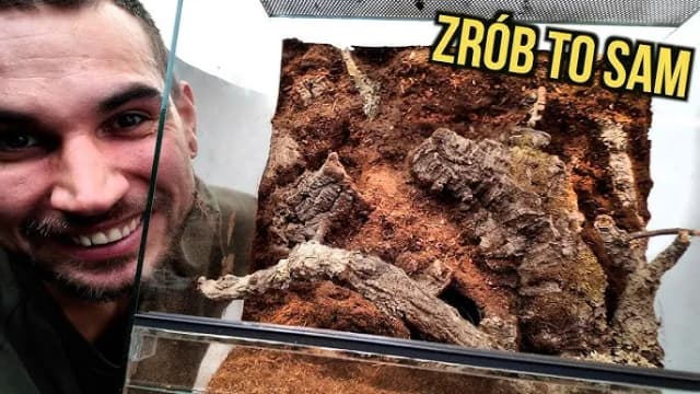 Jak zrobić tło do terrarium: proste metody i materiały, które zaskoczą Jak zrobić tło do terrarium: proste metody i materiały, które zaskoczą