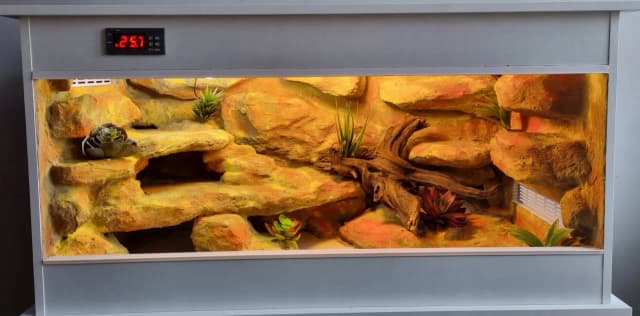 Ile kosztuje terrarium dla gekona? Zaskakujące ceny i opcje Ile kosztuje terrarium dla gekona? Zaskakujące ceny i opcje